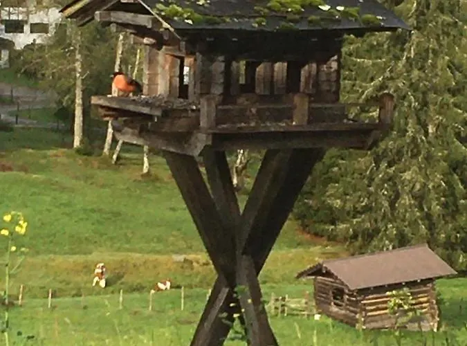 Hof Hintererb キッツビュール