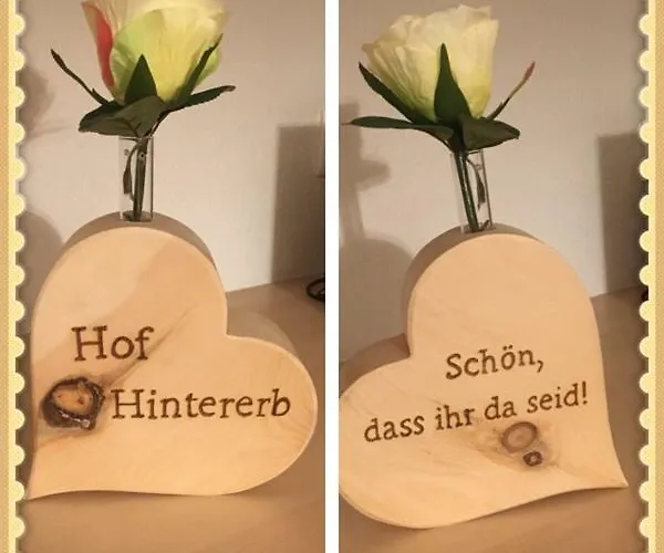 مزرعة للإقامة Hof Hintererb