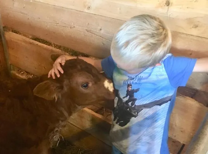 Hof Hintererb * كيتزبوهيل