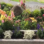 Hof Hintererb Farma Kitzbühel