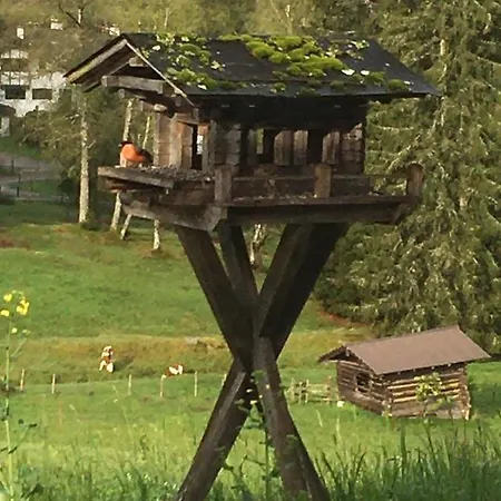 Hof Hintererb Kitzbuhel